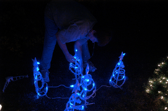 Little blue trees.JPG
