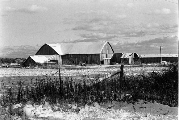 Barn on Monument Road. 2016 yellow filter